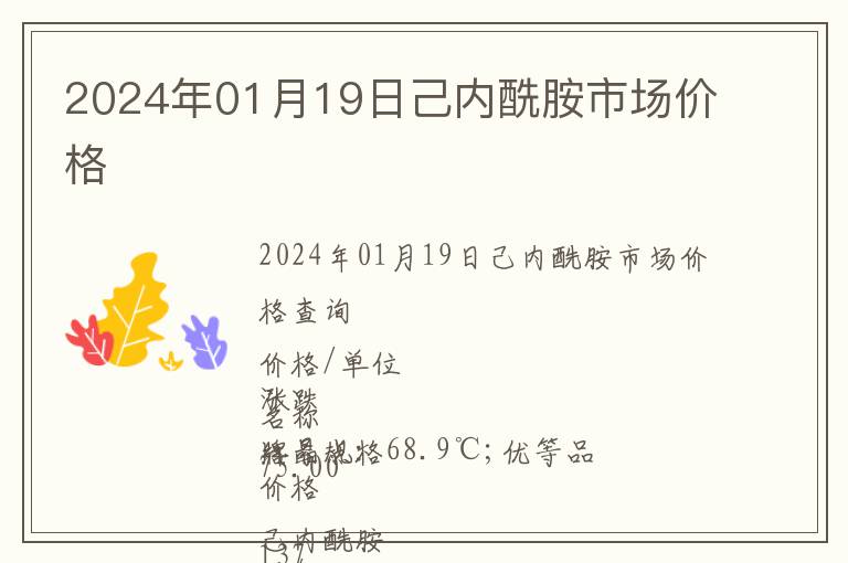 2024年01月19日己內酰胺市場價格