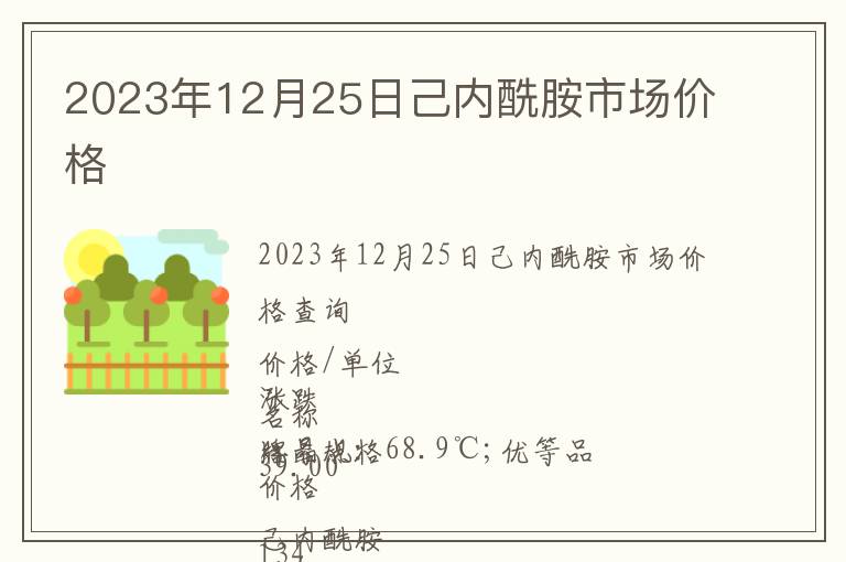 2023年12月25日己內(nèi)酰胺市場價格