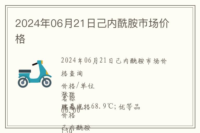 2024年06月21日己內酰胺市場價格