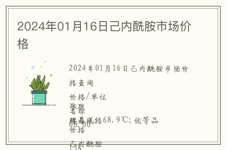 2024年01月16日己內酰胺市場價格