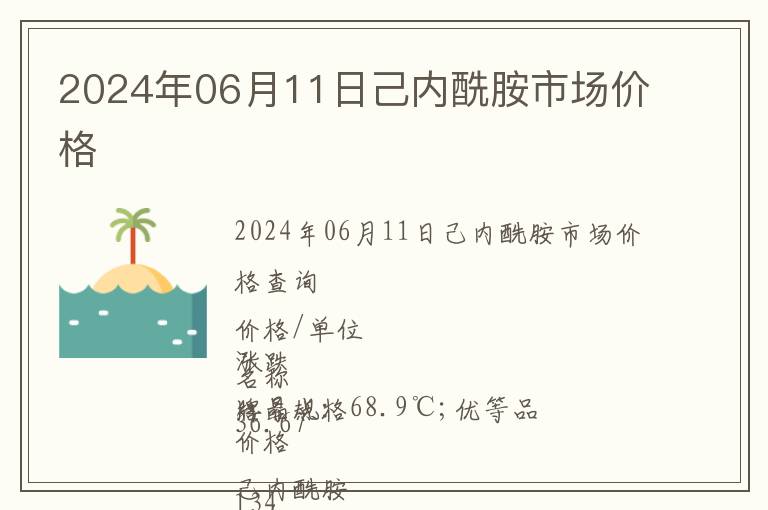 2024年06月11日己內酰胺市場價格