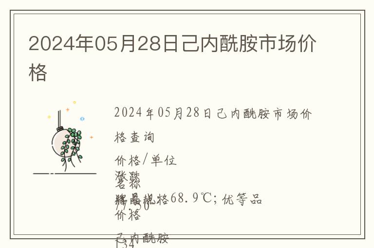 2024年05月28日己內(nèi)酰胺市場價格