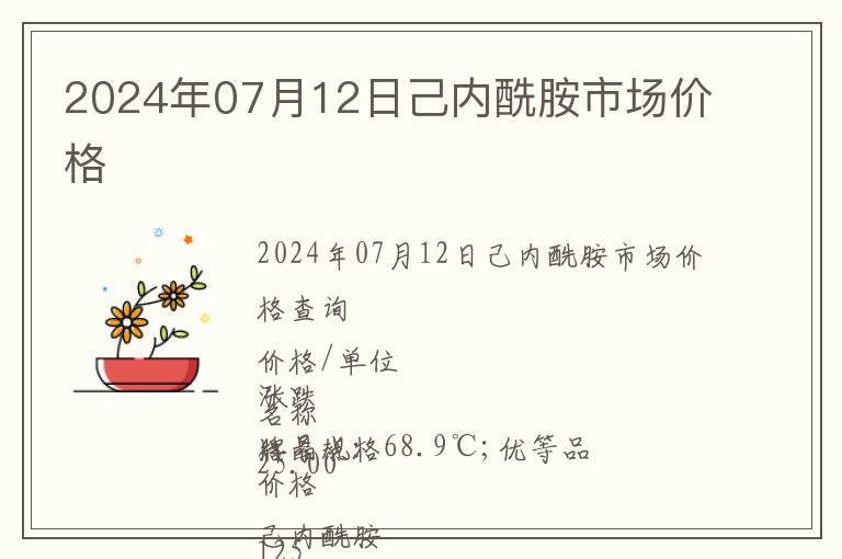 2024年07月12日己內(nèi)酰胺市場價格