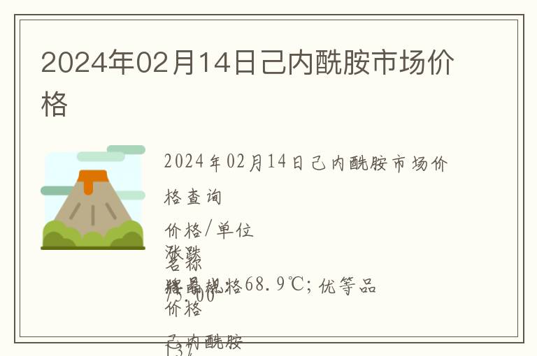 2024年02月14日己內酰胺市場價格