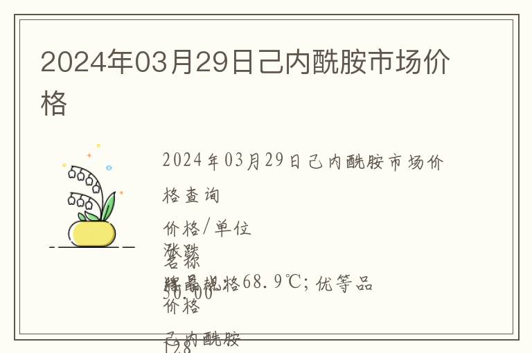 2024年03月29日己內酰胺市場價格