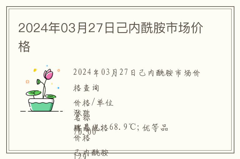 2024年03月27日己內(nèi)酰胺市場價格