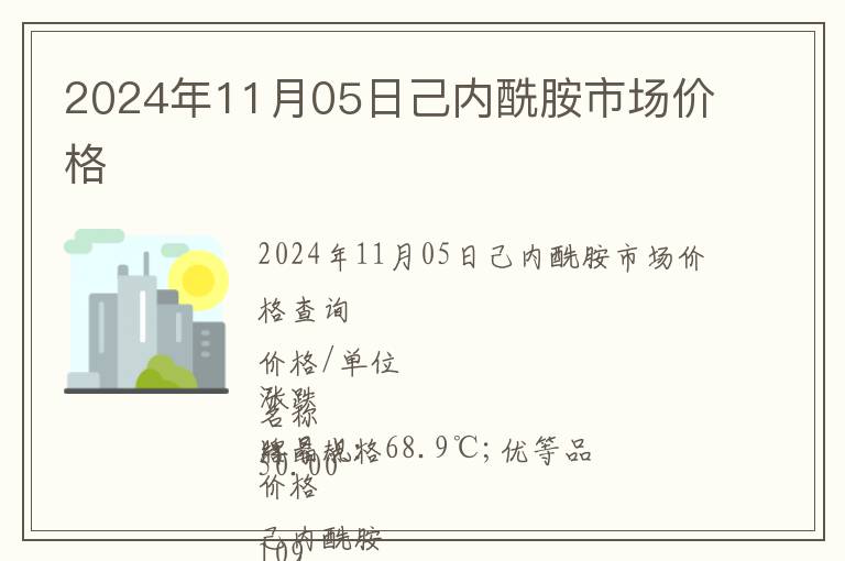 2024年11月05日己內酰胺市場價格