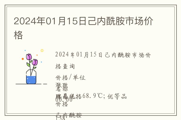 2024年01月15日己內酰胺市場價格