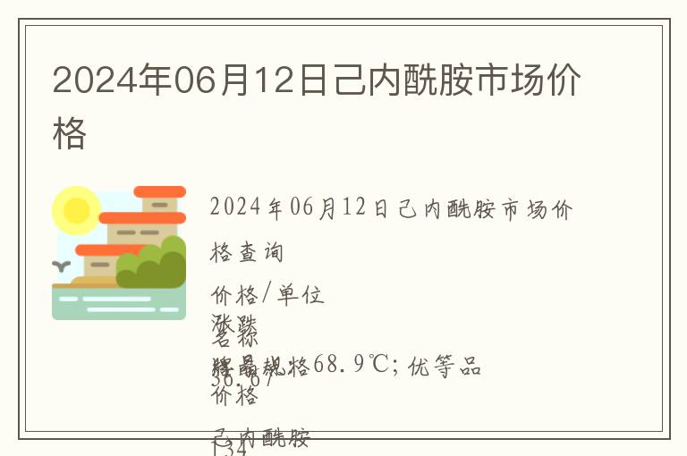 2024年06月12日己內(nèi)酰胺市場(chǎng)價(jià)格