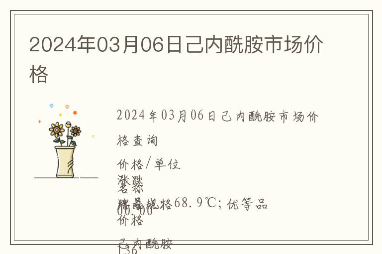 2024年03月06日己內酰胺市場價格