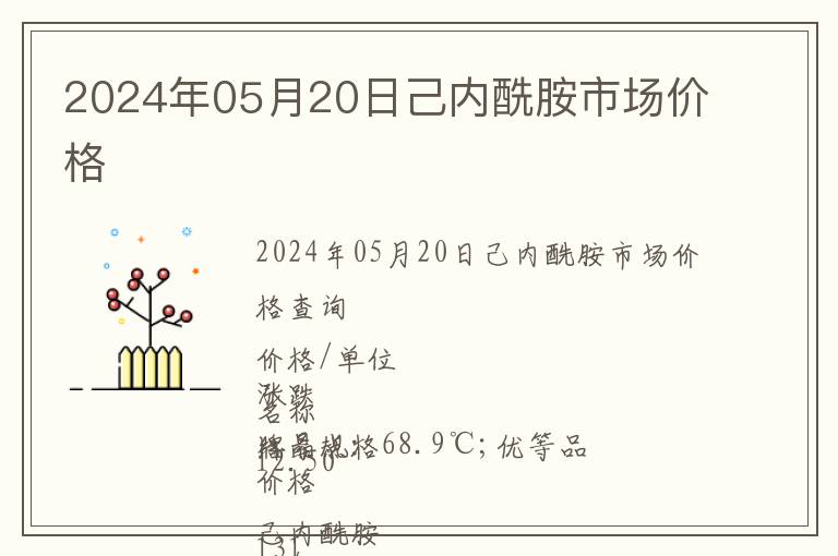 2024年05月20日己內(nèi)酰胺市場價格