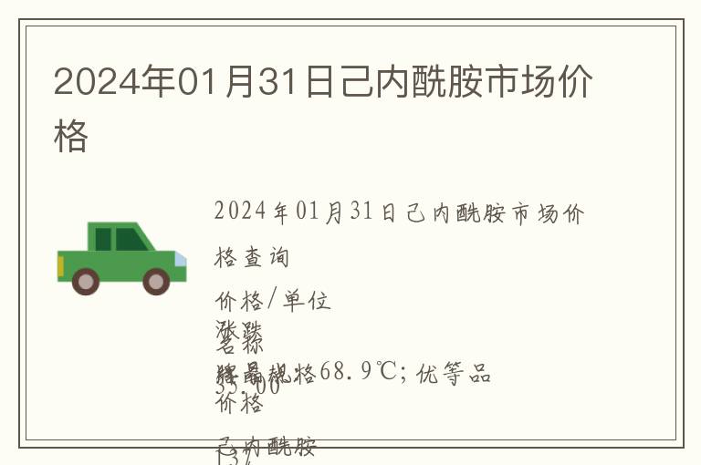 2024年01月31日己內酰胺市場價格