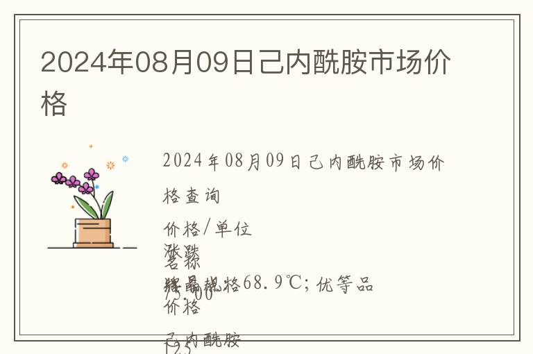 2024年08月09日己內酰胺市場價格