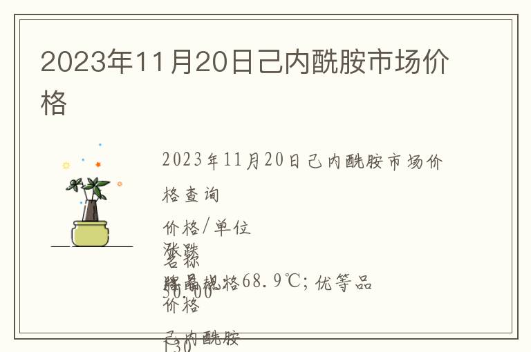 2023年11月20日己內酰胺市場價格