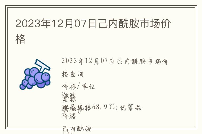 2023年12月07日己內酰胺市場價格