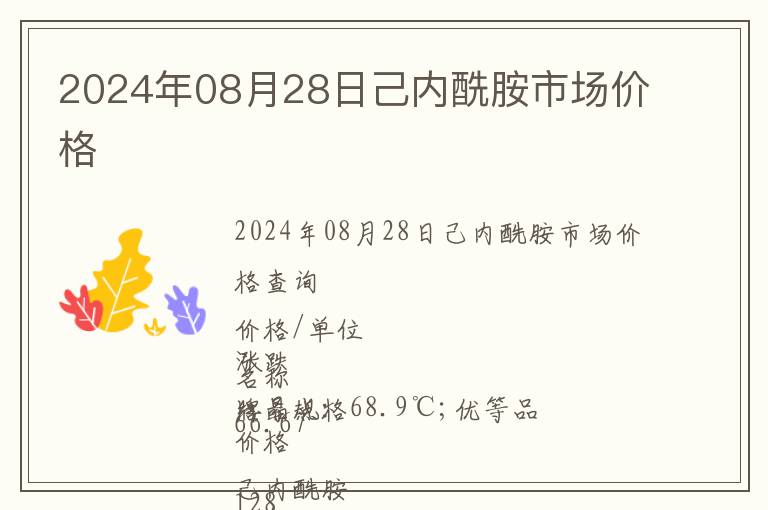 2024年08月28日己內酰胺市場價格