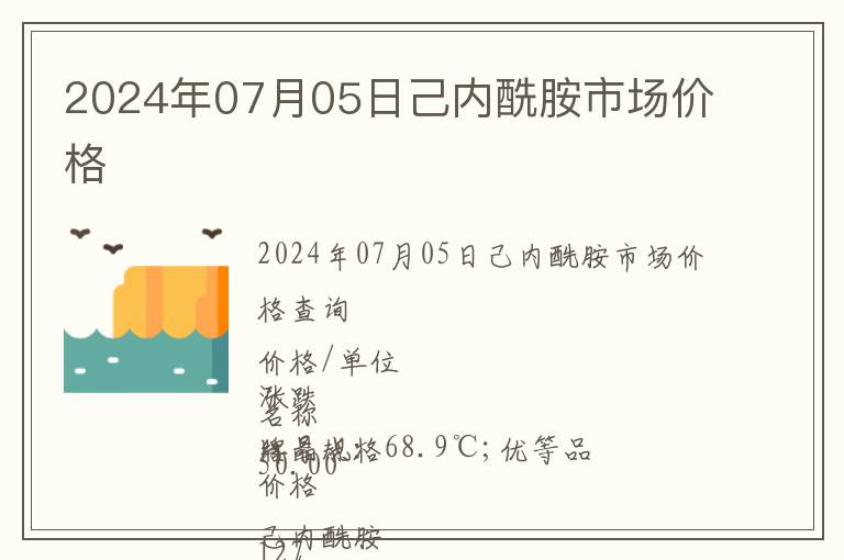 2024年07月05日己內酰胺市場價格