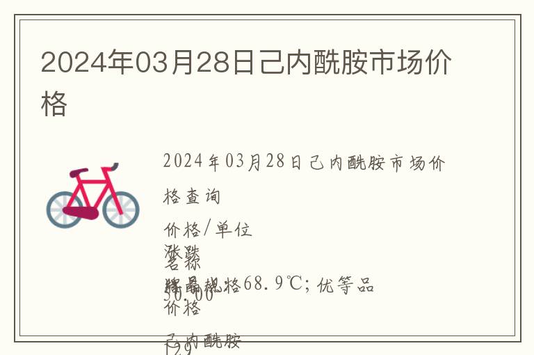 2024年03月28日己內酰胺市場價格