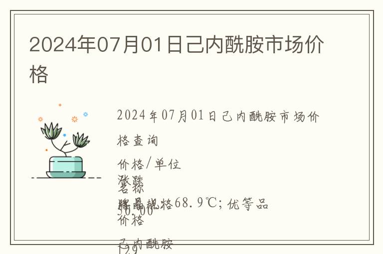 2024年07月01日己內酰胺市場價格