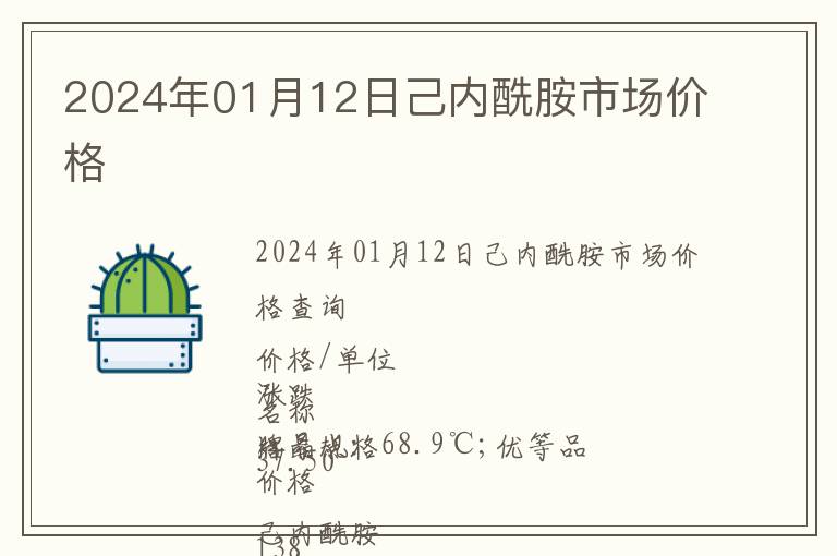 2024年01月12日己內酰胺市場價格