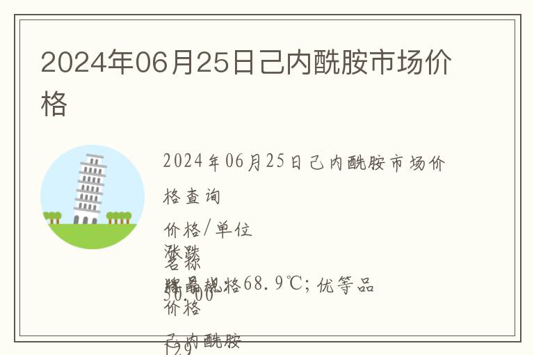 2024年06月25日己內酰胺市場價格