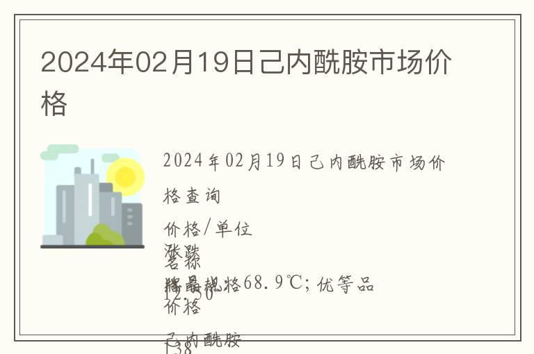 2024年02月19日己內酰胺市場價格