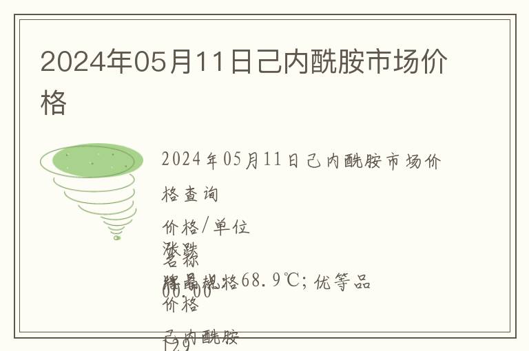 2024年05月11日己內酰胺市場價格