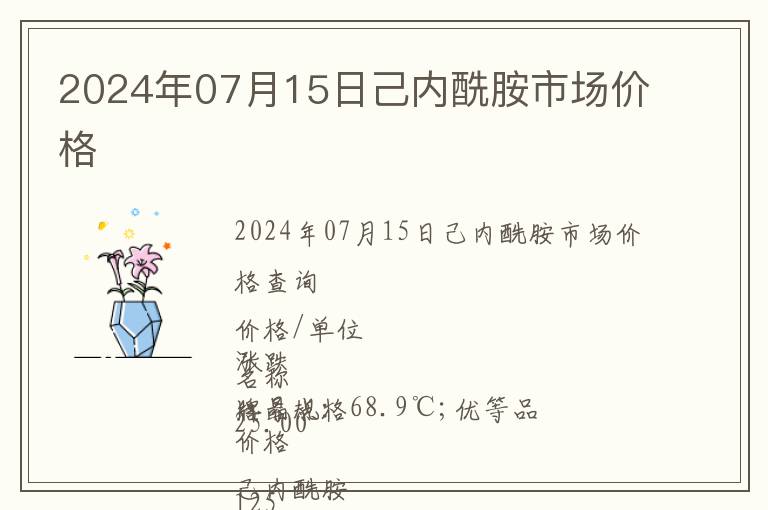 2024年07月15日己內酰胺市場價格