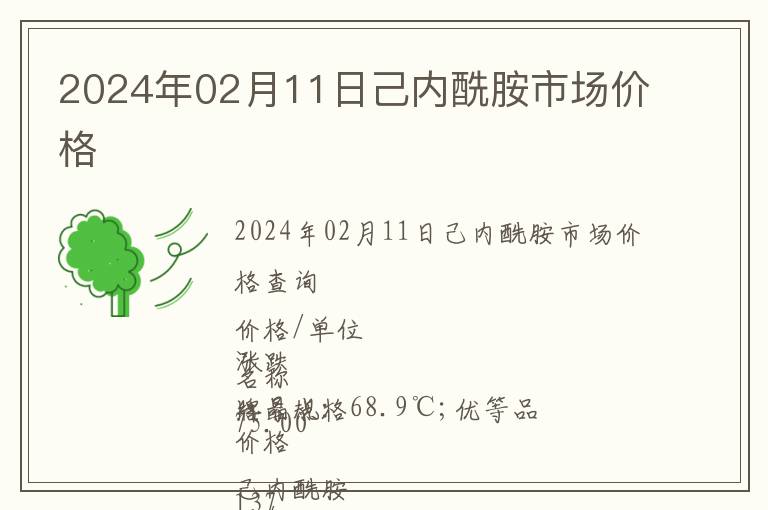 2024年02月11日己內酰胺市場價格