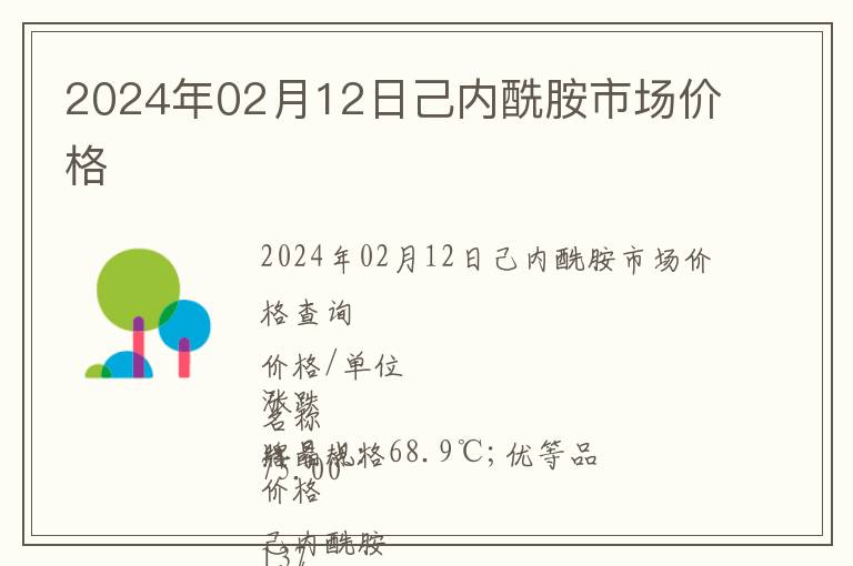 2024年02月12日己內酰胺市場價格