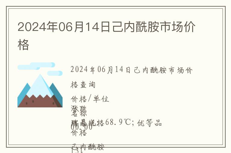 2024年06月14日己內酰胺市場價格