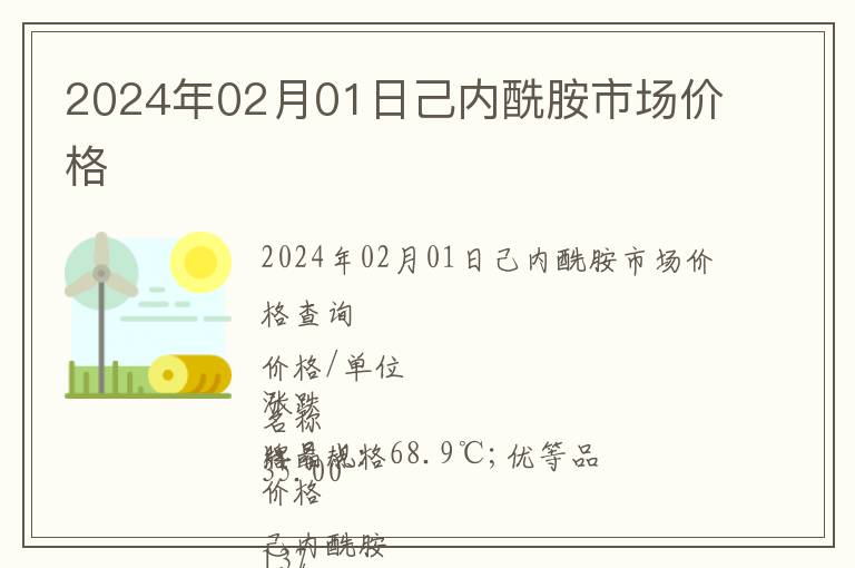 2024年02月01日己內酰胺市場價格