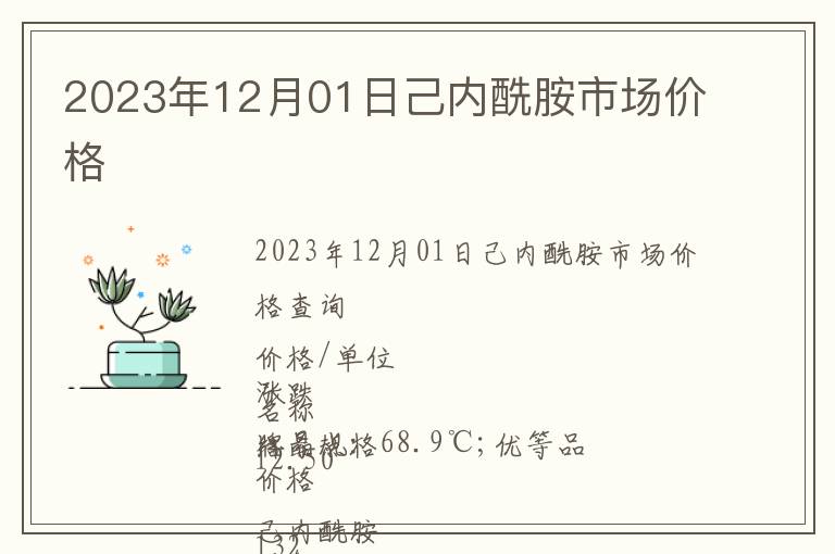 2023年12月01日己內酰胺市場價格