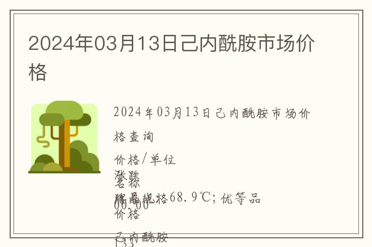 2024年03月13日己內酰胺市場價格