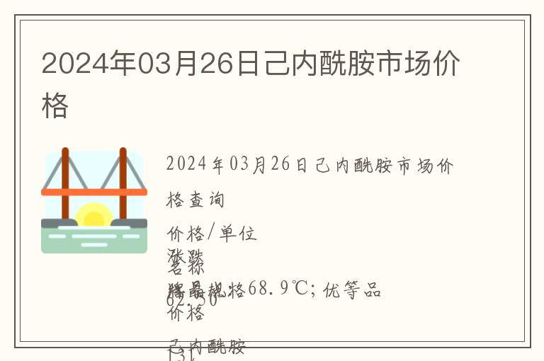 2024年03月26日己內酰胺市場價格