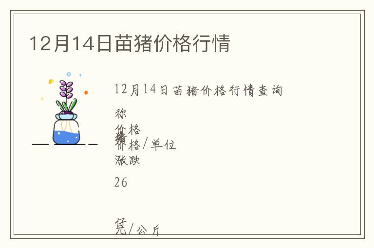 12月14日苗豬價格行情