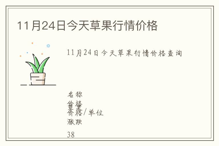 11月24日今天草果行情價格